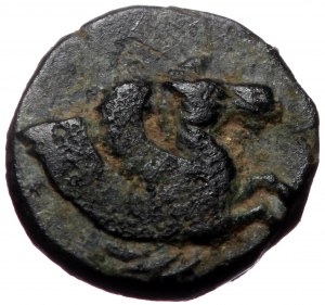 Troas, Skepsis, AE,(Bronze, 0.72 g 9 mm), 4th-3rd centuries BC.