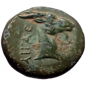 Aeolis, Aigai, AE,(Bronze, 5.08 g 17 mm), Circa 4th-3rd Centuries BC.