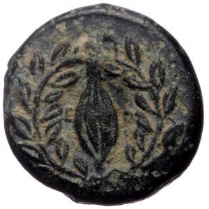 Aeolis, Elaia,AE, (Bronze, 1.37 g 10 mm), Circa 340-300 BC.