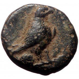Aeolis, Kyme, AE,(Bronze,1.47 g 9 mm), Circa 350-250 BC.
