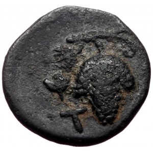 Aeolis, Temnos, AE, (Bronze, 1.98 g 13 mm), 3rd century BC.