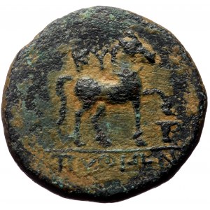 Aeolis, Kyme, AE, (Bronze, 6.31 g 20 mm), Circa 250-200 BC. Pythion, magistrate.