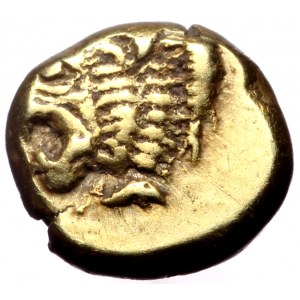 Ionia, Phokaia, EL Myshemihekte - 1/24 Stater, (Elektron, 0.65 g 6 mm), Circa 625/0-522 BC.
