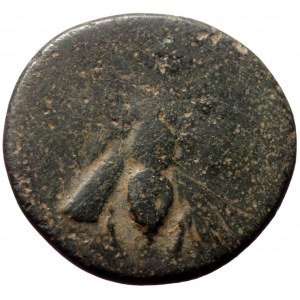 Ionia, Ephesos , AE (Bronze,1.92 g 16 mm), Aissides, magistrate Circa 387-295 BC.