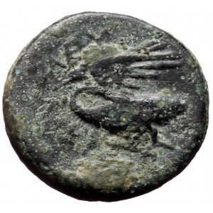 Ionia, Leukai, AE, (Bronze,3.25 g 16 mm),Circa 350-300 BC.