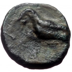Lycia, Termessos, AE, (Bronze, 1.20 g 11 mm), 1st century BC.