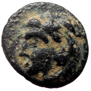 Islands off Caria, Kos, AE, (Bronze, 1.32 g 11 mm), 4th century BC.