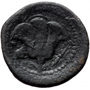 Caria, Rhodes, AE, (Bronze, 16.41 g 28 mm), Circa 88-85 BC.