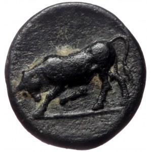 Mysia, Gambrion, AE. (Bronze, 1.09 g 10 mm),4th century BC.