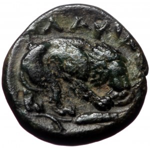 Mysia, Plakia, AE. (Bronze, 1.39 g 12 mm), 4th century BC.