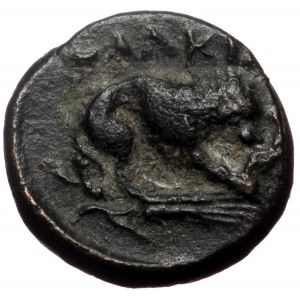 Mysia, Plakia, AE, (Bronze, 1.56 g 11 mm), 4th century BC.