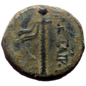 Kings of Pergamon, Philetairos, AE, (Bronze, 3.66 g 15 mm), 282-263 BC.