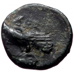 Mysia, Adramytion, AE, (Bronze, 1.66 g 10 mm), 4th century BC.