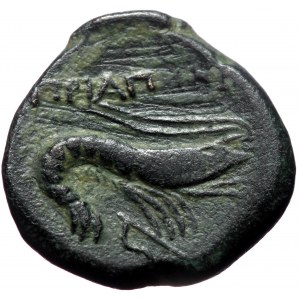 Mysia, Priapos, AE, (Bronze,5.23 g 18 mm), Circa 1st century BC.