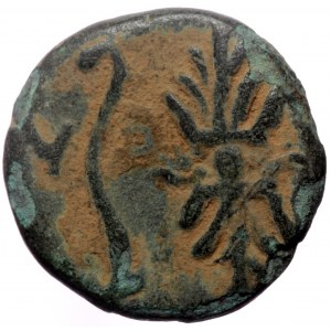 Pisidia, Selge, AE, (Bronze,2.25 g 12 mm), 2nd -1st centuries BC.