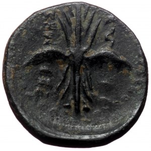 Pisidia, Termessos, AE, (Bronze, 5.02 g 20 mm), 1st century BC.