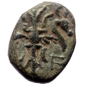 Pisidia, Selge, AE, (Bronze, 2.76 g 15 mm), 2nd -1st centuries BC.