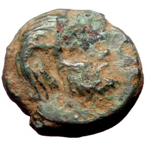 Cilicia, Nagidos,AE, (Bronze,0.95 g 9 mm),Circa 360-333 BC.