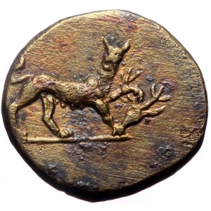 Pontos, Amisos, Mithradates VI Eupator, AE, (Bronze, 4.57 g 17 mm), Circa 85-65 BC.