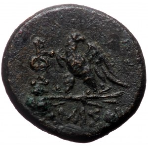 Pontos, Amisos (80-70 BC) AE (Bronze, 8.05g, 21mm)
