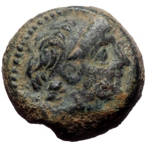 Seleukid Kingdom, Antiochos IX Eusebes Philopator (Kyzikenos), AE,(Bronze, 5.95 g 19 mm) ,114/3-95 BC. Antioch on the Or