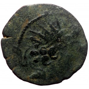 Seleukid Kindgdom, Antiochos VIII Epiphanes (121/0-97/6 BC) AE (Bronze, 7.15g, 19mm). Antioch on the Orontes