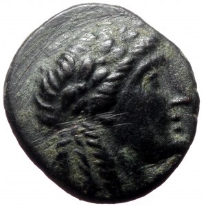 Seleukid Kingdom, Achaios, AE, (Bronze, 4.90 g 18 mm), 220-214 BC. Sardes.