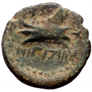 Phoenicia, Arados, AE, (Bronze,2.96 g 16 mm), 2nd century BC.