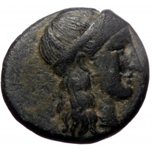 Ptolemaic Kings of Egypt, Ptolemy I Soter. AE, (Bronze, 4.75 g 17 mm), 305-282 BC, Paphos.