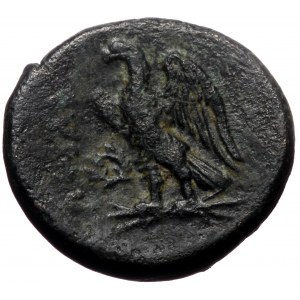 Ptolemaic Kings of Egypt, Ptolemy I Soter. AE, (Bronze, 4.75 g 17 mm), 305-282 BC, Paphos.