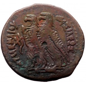 Ptolemaic Kings of Egypt, Ptolemy II Philadelphos (285-246 BC) Æ Obol, Uncertain Syro-Phoenician mint.