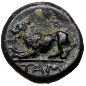 Asia Minor, Uncertain mint or Temnos, Aiolis, AE,(Bronze, 1.08 g 9 mm), Circa 350-250 BC.