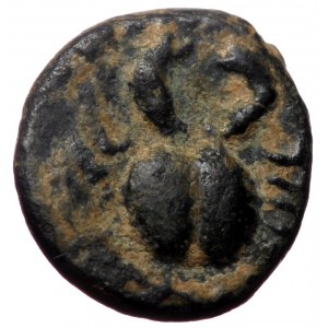 Unreaserched Greek AE (Bronze, 0.80g, 9mm)