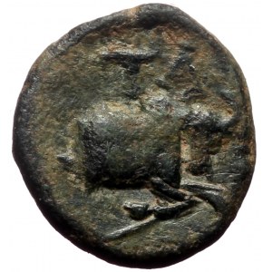 Asia Minor, Uncertain satrap. (Bronze,0.87 g 10 mm), Circa 4th century BC.