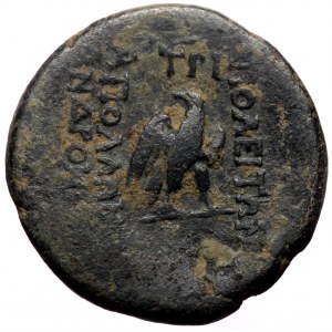 Lydia. Tripolis. Augustus. AE. (Bronze, 5.79g, 20mm) 27 BC-14 AD. Apollonios Androneikou, magistrate.