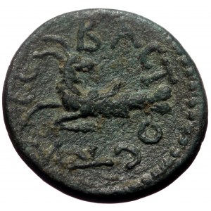 Mysia, Cyzicus. Augustus. AE. (Bronze, 3.77 g. 17 mm.) 27 BC-AD 14.