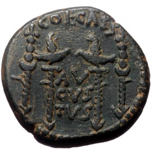 Pisidia, Antioch. Augustus. AE. (Bronze, 12.13 g. 20 mm.) 27 BC-14 AD.