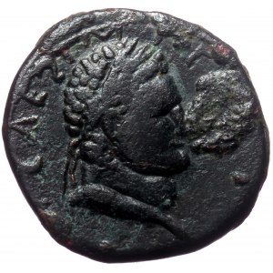 Pisidia, Antioch AE (Bronze,5.45g, 19mm) Vespasian (69-79) for Titus (Caesar)