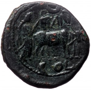 Pisidia, Antioch AE (Bronze,5.45g, 19mm) Vespasian (69-79) for Titus (Caesar)
