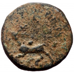 Cilicia, Anemurion. Pseudo-autonomous. AE. (Bronze 2.83 g 13 mm) 81-96 AD.