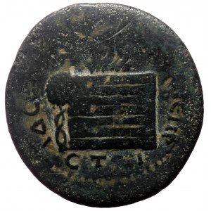 Pontus, Amasia AE (Bronze, 19.36, 32mm) Caracalla (198-217) Dated CY 208 (208/209 AD).