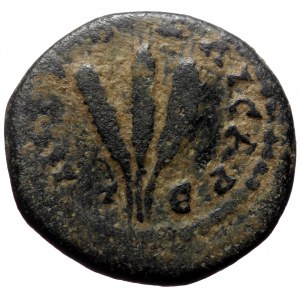 Cappadocia, Caesarea. Severus Alexander. AE. (Bronze, 6.75 g. 20 mm.) 222-235 AD.