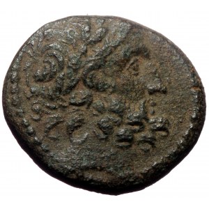 Syria. Seleucis and Pieria, Antioch. Augustus. AE. (Bronze, 7.68 g 20 mm.) Pseudo-autonomous issue, struck under P. Quin