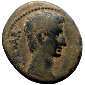 Seleucis & Pieria. Antioch. Augustus. AE, As. (Bronze, 10.77 g. 26 mm.) 27 BC-14 AD.