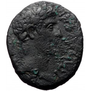 Seleucis & Pieria, Antioch. Augustus. AE. (Bronze, 15.45 g. 28 mm.) 27 BC-14 AD.
