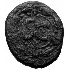 Seleucis & Pieria, Antioch. Augustus. AE. (Bronze, 15.45 g. 28 mm.) 27 BC-14 AD.