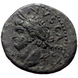 Syria, Antioch. Domitian Caesar. AE. (Bronze, 6.52 g. 22 mm.) 69-79 AD.