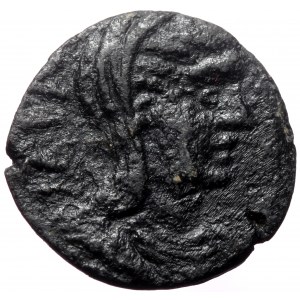 Syria, Anticoh. Salonina? AE. (Bronze, 3.74 g. 19 mm. ) circa 254-268 AD.