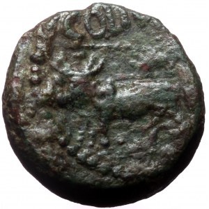 Phoenicia, Berytus AE (Bronze, 20,8 mm, 10,46 g) Augustus (27 BC-AD 14) Magistrate: Sulanus (legatus) AD 12/14