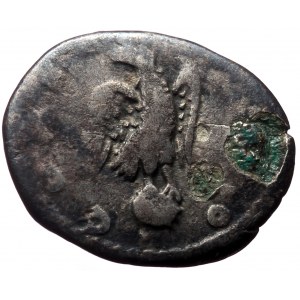Divus Pertinax (193) AR Denarius, Rome.
